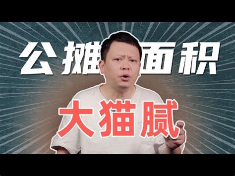 公攤面積台灣|公攤面積怎麼算，公攤面積國家標準是多少？